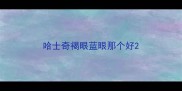哈士奇褐眼蓝眼那个好