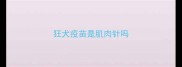 狂犬疫苗是肌肉针吗