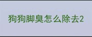 狗狗脚臭怎么除去