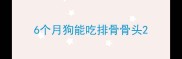 6个月狗能吃排骨骨头