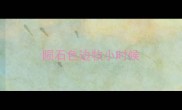 陨石色边牧小时候
