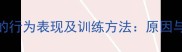 哈士奇兴奋时的行为表现及训练方法原因与科学应对策略
