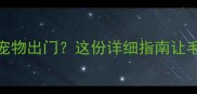 打完疫苗后多久能带宠物出门这份详细指南让毛孩安全玩转春天
