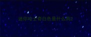 迷你哈士奇白色是什么狗