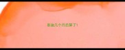 泰迪几个月后算了