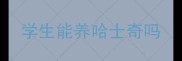 学生能养哈士奇吗