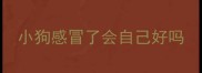 小狗感冒了会自己好吗