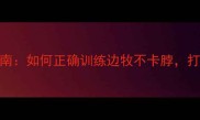 边牧围脖佩戴指南如何正确训练边牧不卡脖打造高颜值毛孩子