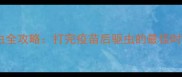狗狗疫苗与驱虫全攻略打完疫苗后驱虫的最佳时间及注意事项