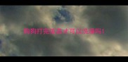 狗狗打完疫苗才可以洗澡吗