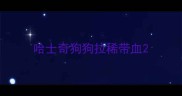 哈士奇狗狗拉稀带血