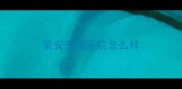 荣安宠物医院怎么样