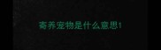寄养宠物是什么意思