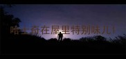 哈士奇在屋里特别味儿