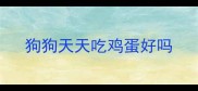 狗狗天天吃鸡蛋好吗