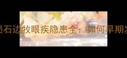 警惕陨石边牧眼疾隐患全如何早期发现及预防