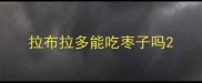 拉布拉多能吃枣子吗