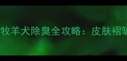 边牧幼犬异味重两月大边境牧羊犬除臭全攻略皮肤褶皱肠胃护理与毛发清洁指南