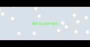 猫咪怎么体外驱虫
