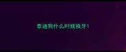 泰迪狗什么时候换牙