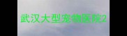 武汉大型宠物医院