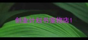 创业计划书宠物店