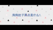 狗狗肚子黑点是什么
