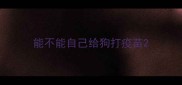 能不能自己给狗打疫苗