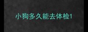 小狗多久能去体检