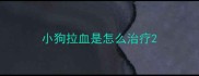 小狗拉血是怎么治疗