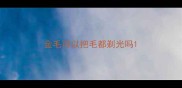 金毛可以把毛都剃光吗