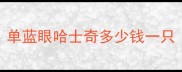 单蓝眼哈士奇多少钱一只