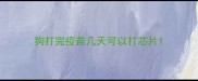 狗打完疫苗几天可以打芯片
