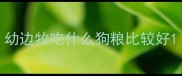 幼边牧吃什么狗粮比较好