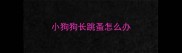 小狗狗长跳蚤怎么办