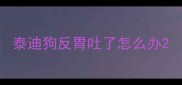 泰迪狗反胃吐了怎么办