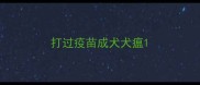 打过疫苗成犬犬瘟