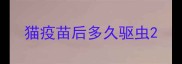 猫疫苗后多久驱虫