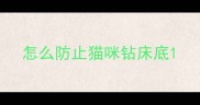 怎么防止猫咪钻床底