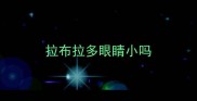拉布拉多眼睛小吗