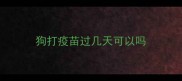 狗打疫苗过几天可以吗