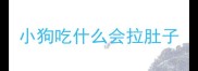 小狗吃什么会拉肚子