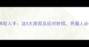 猫咪咬人手这5大原因及应对妙招养猫人必看