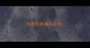 拉布拉多满月发抖