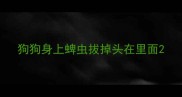 狗狗身上蜱虫拔掉头在里面