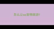 怎么让qq宠物旅游