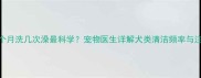 狗狗一个月洗几次澡最科学宠物医生详解犬类清洁频率与注意事项