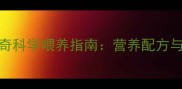 2个月大哈士奇科学喂养指南营养配方与护理要点全