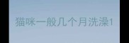 猫咪一般几个月洗澡