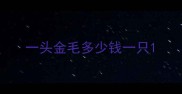 一头金毛多少钱一只